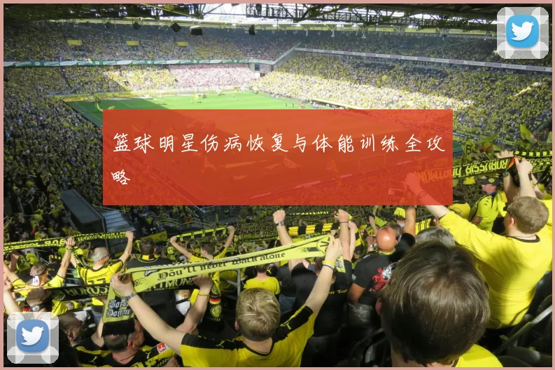 篮球明星伤病恢复与体能训练全攻略